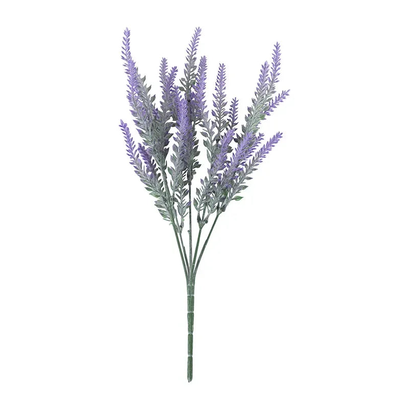 Provence Lavender