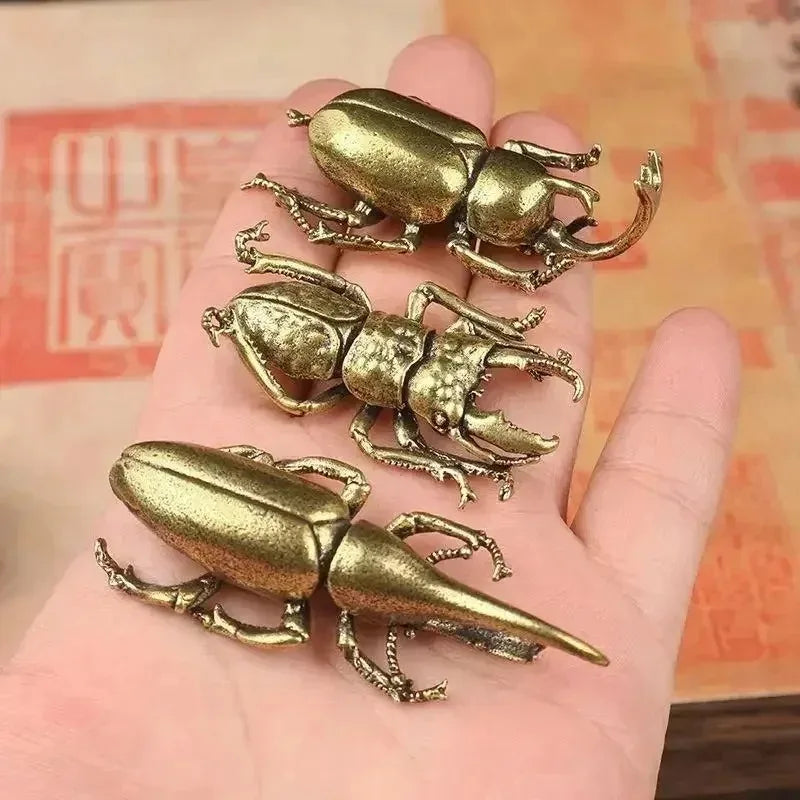 Solid Brass Beetle