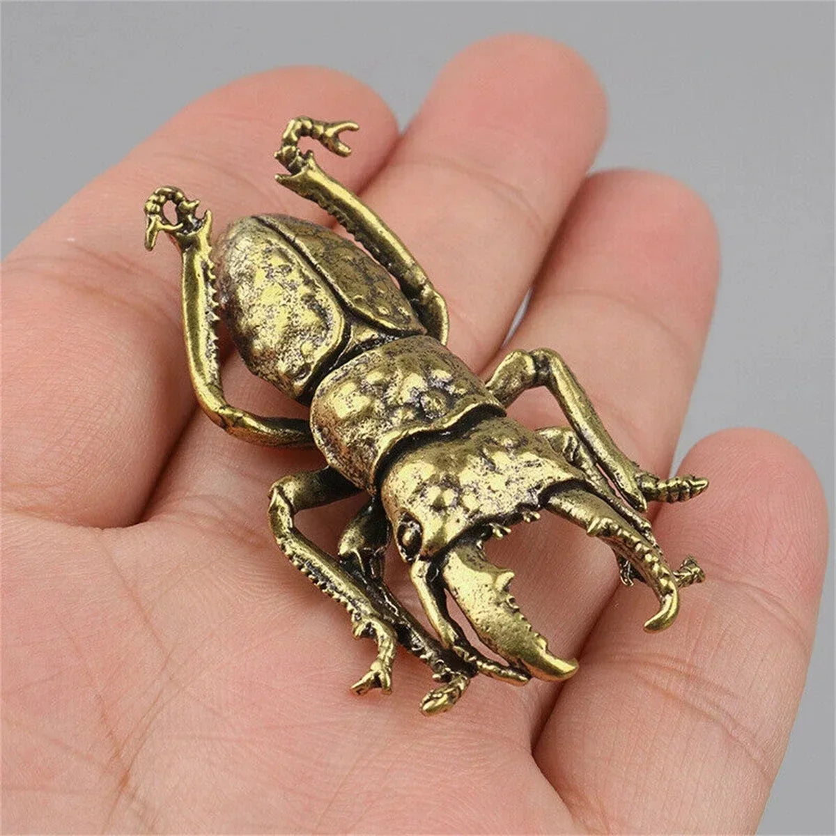 Solid Brass Beetle