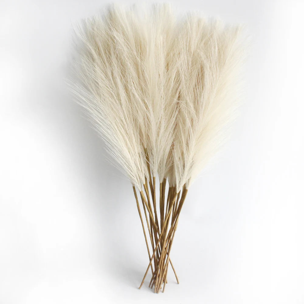 Pampas Grass Stems