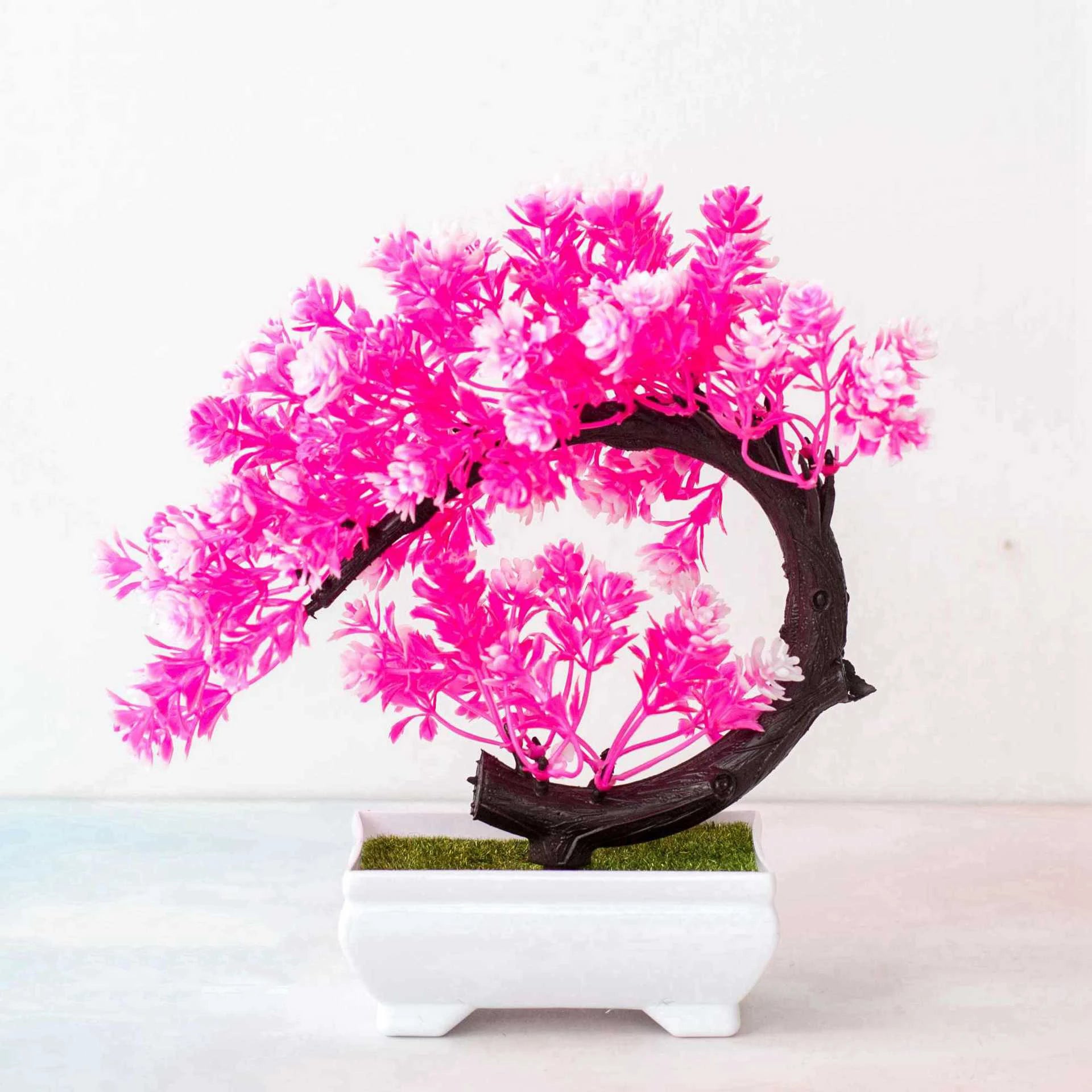 Crescent Bonsai