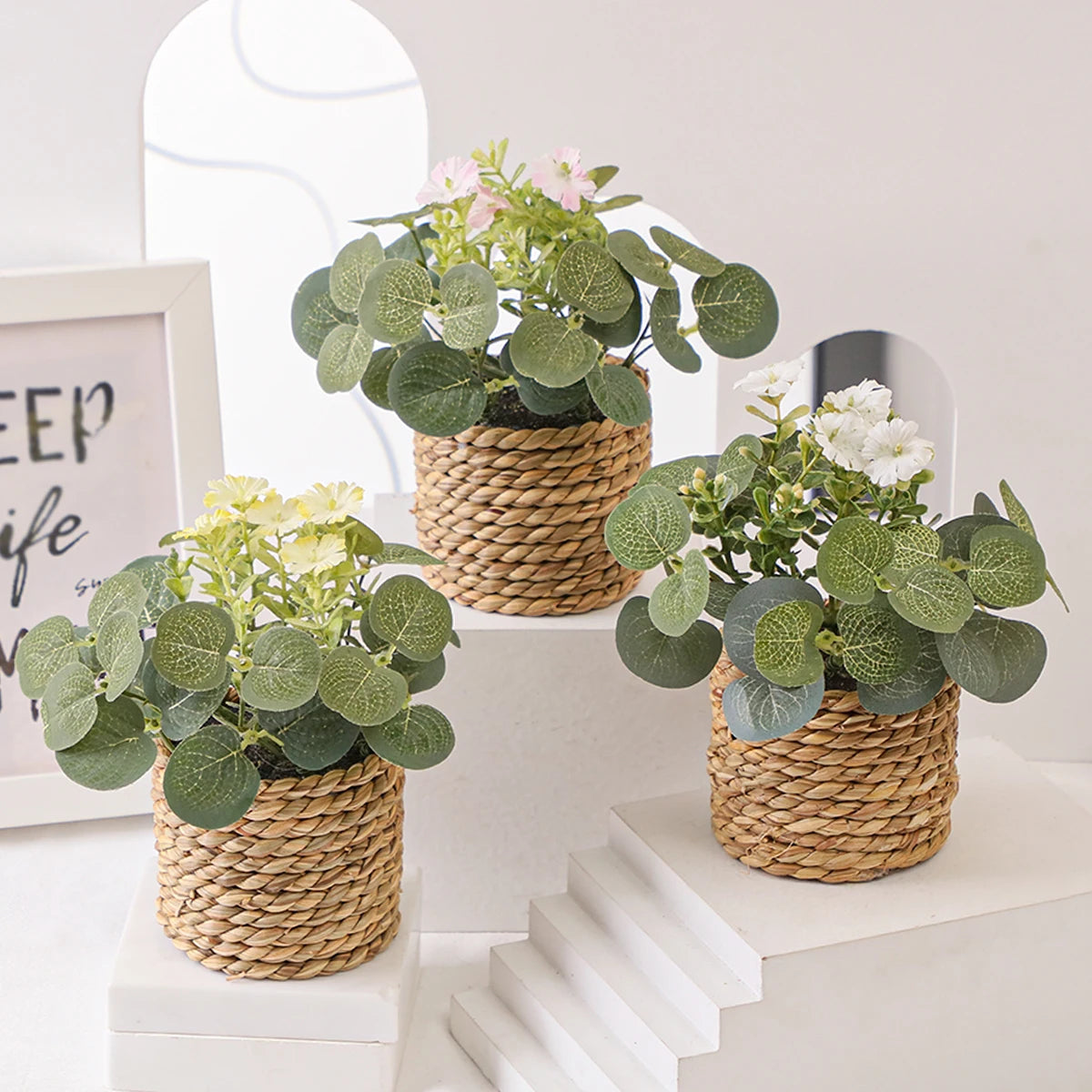 Eucalyptus Xiya Flower