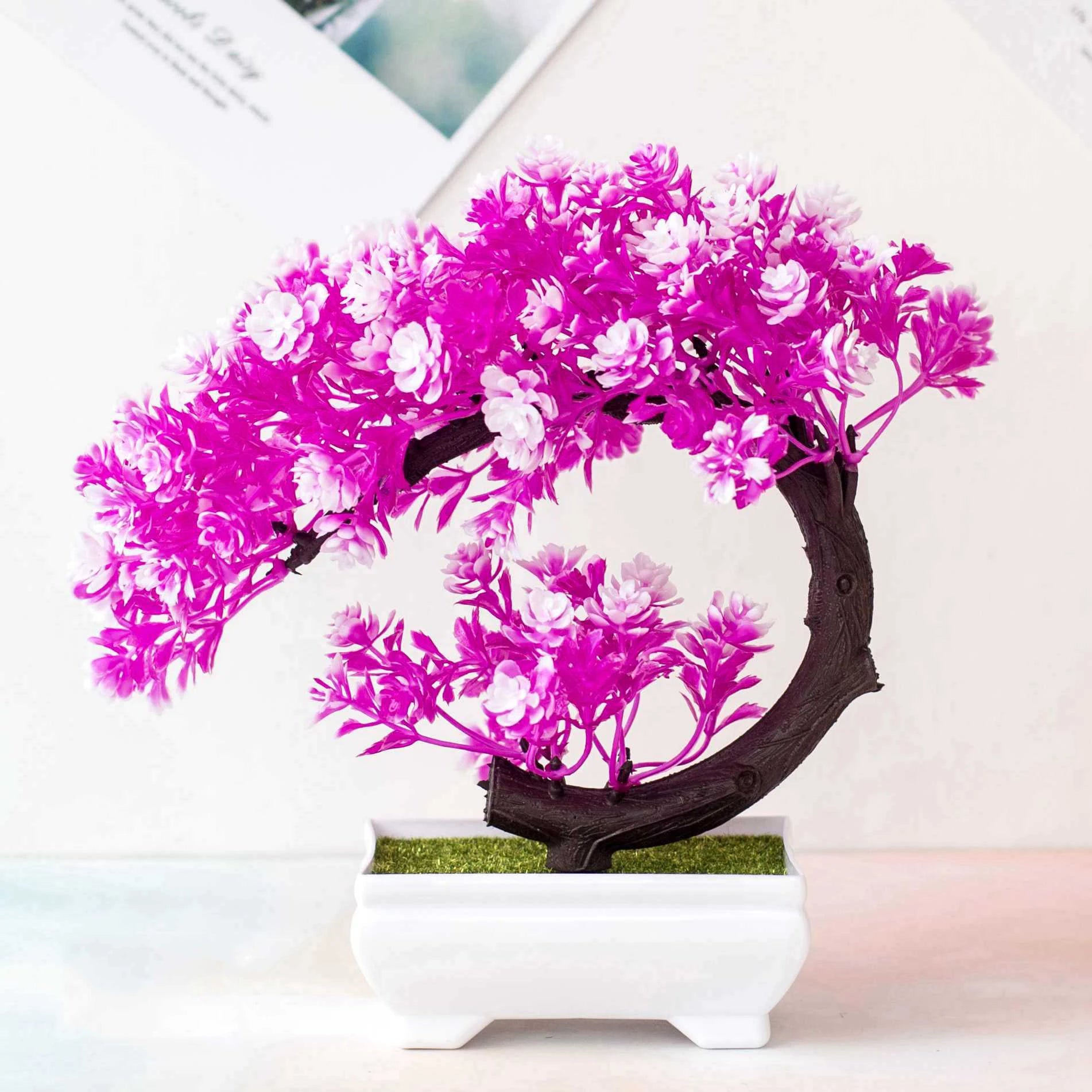 Crescent Bonsai