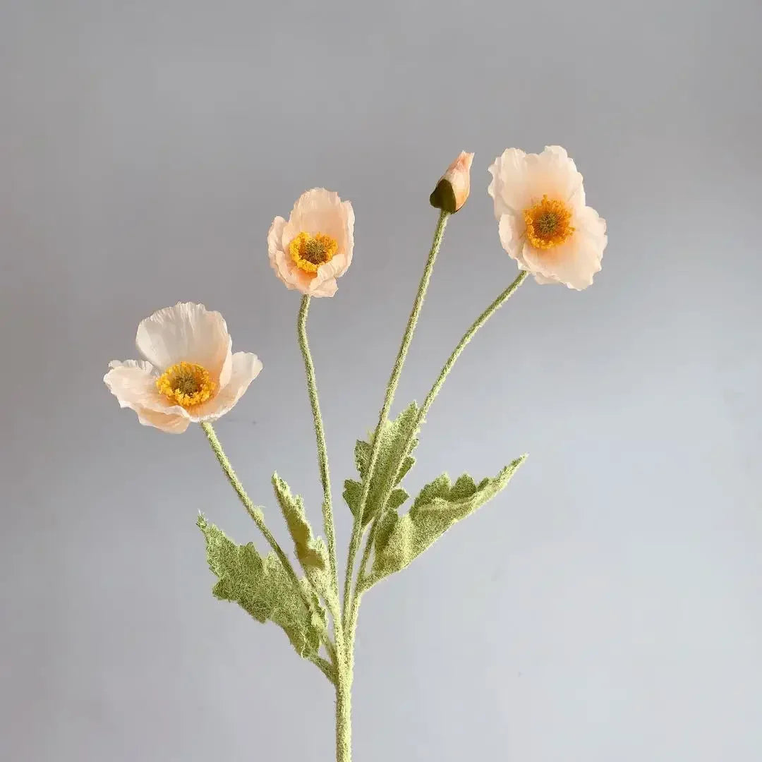 Poppy Stems