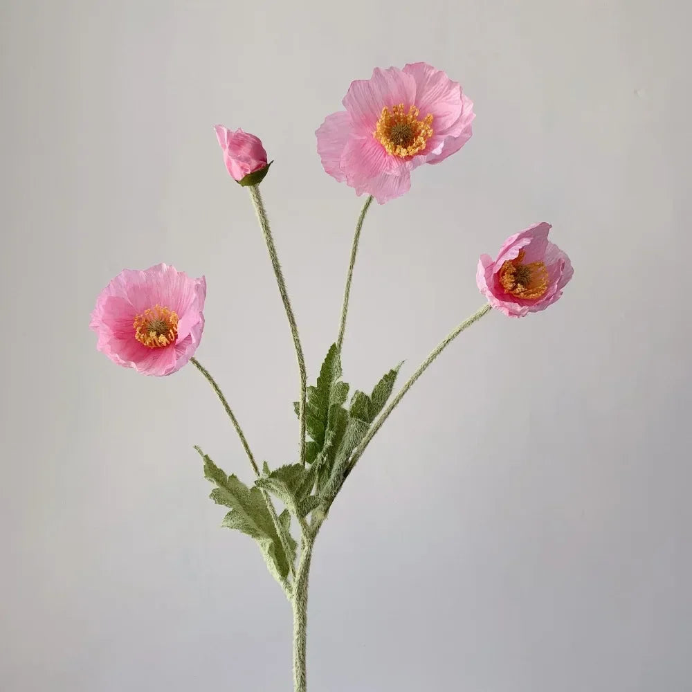 Poppy Stems