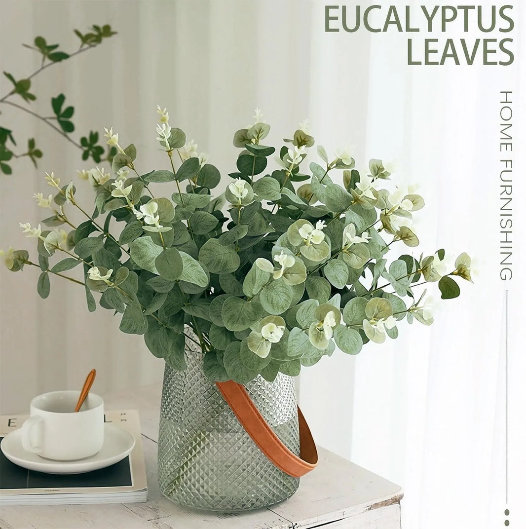 Eucalyptus Stems