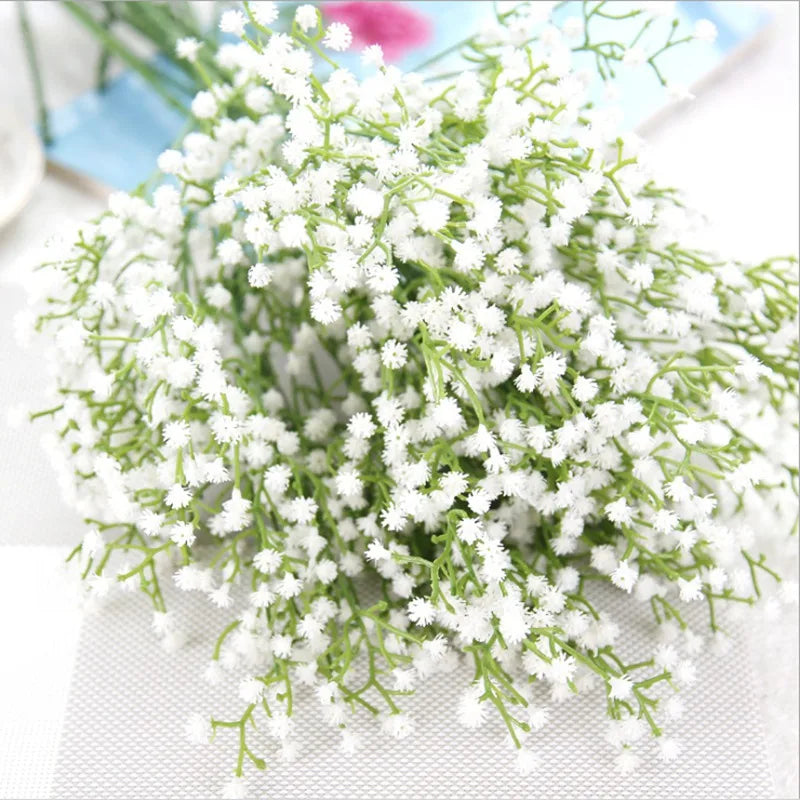 Gypsophila Stems