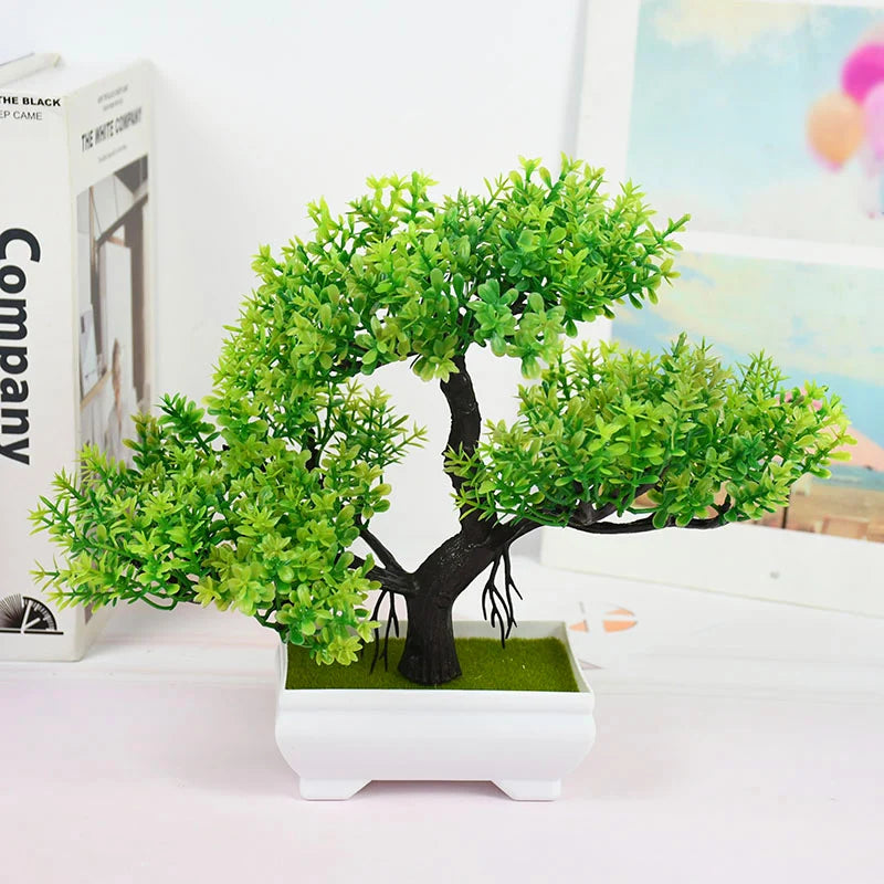 Mini Bonsai