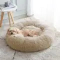 Pet Bed