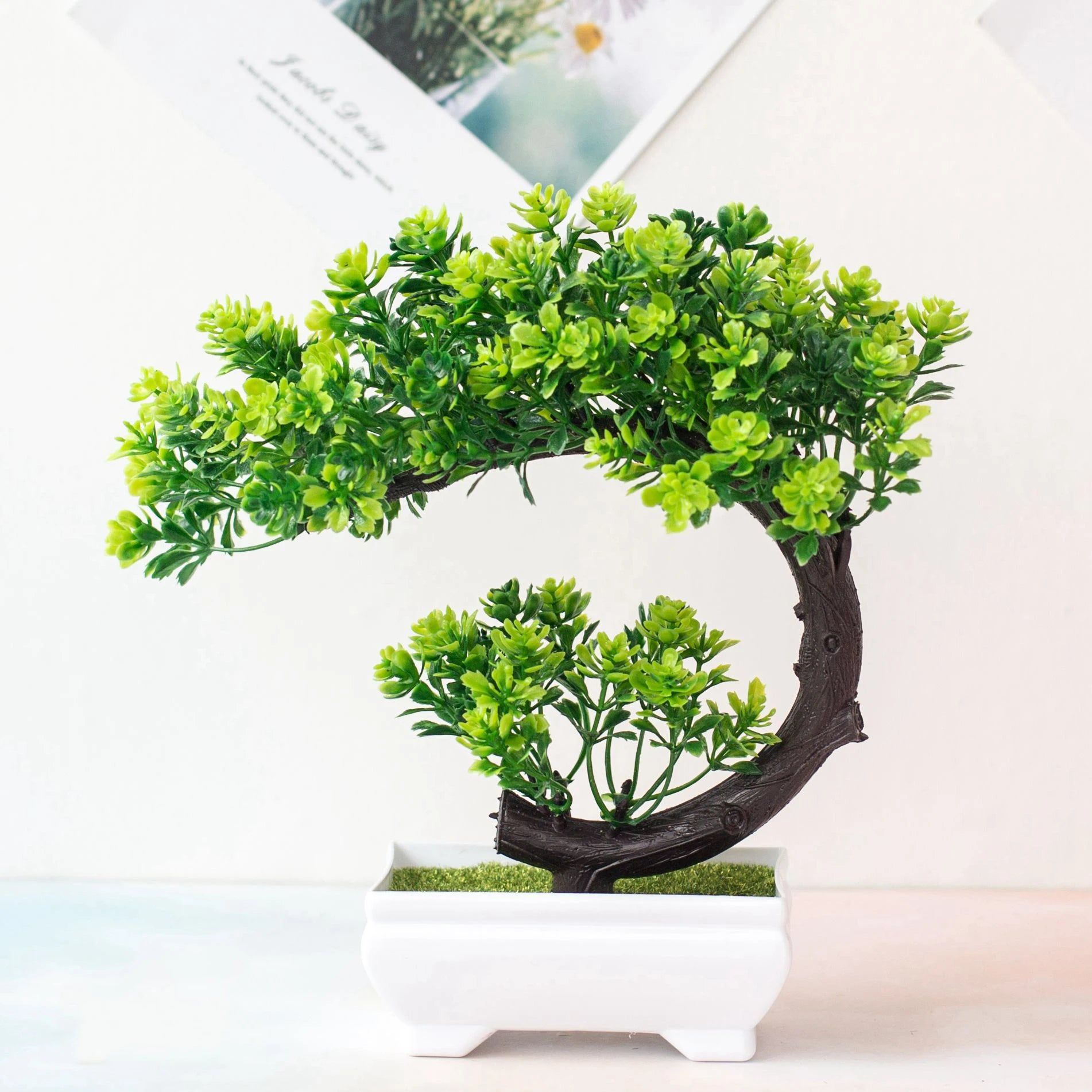 Crescent Bonsai