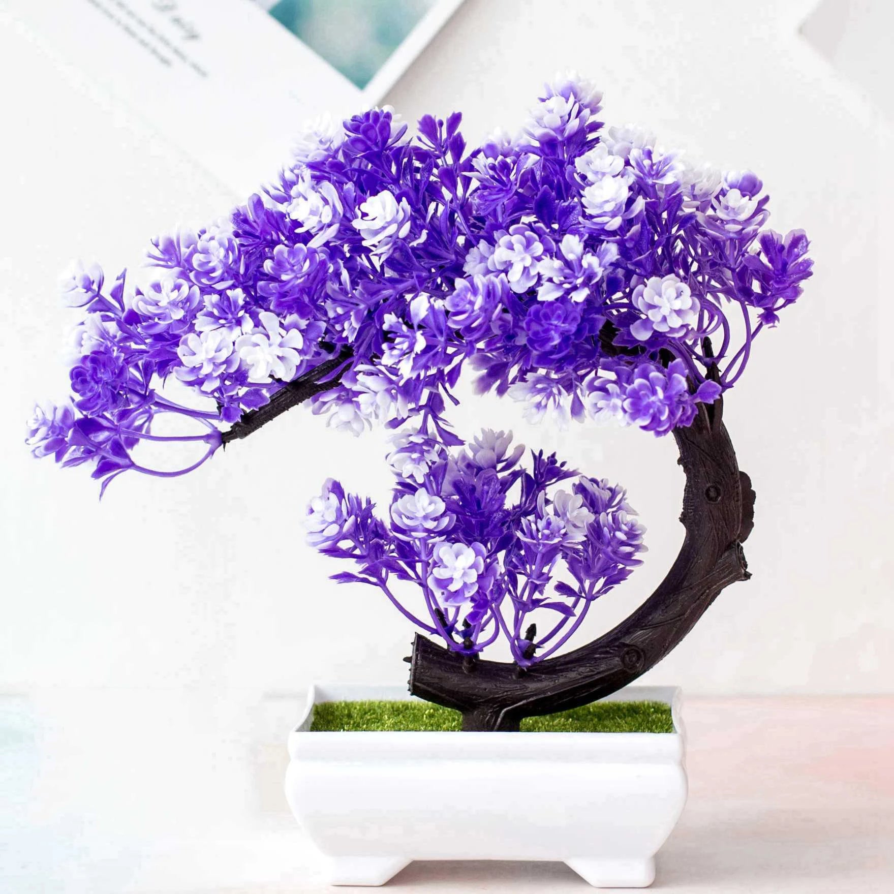 Crescent Bonsai