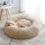 Pet Bed