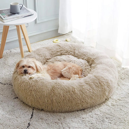 Pet Bed