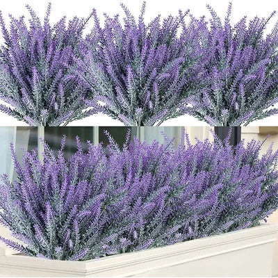 Provence Lavender
