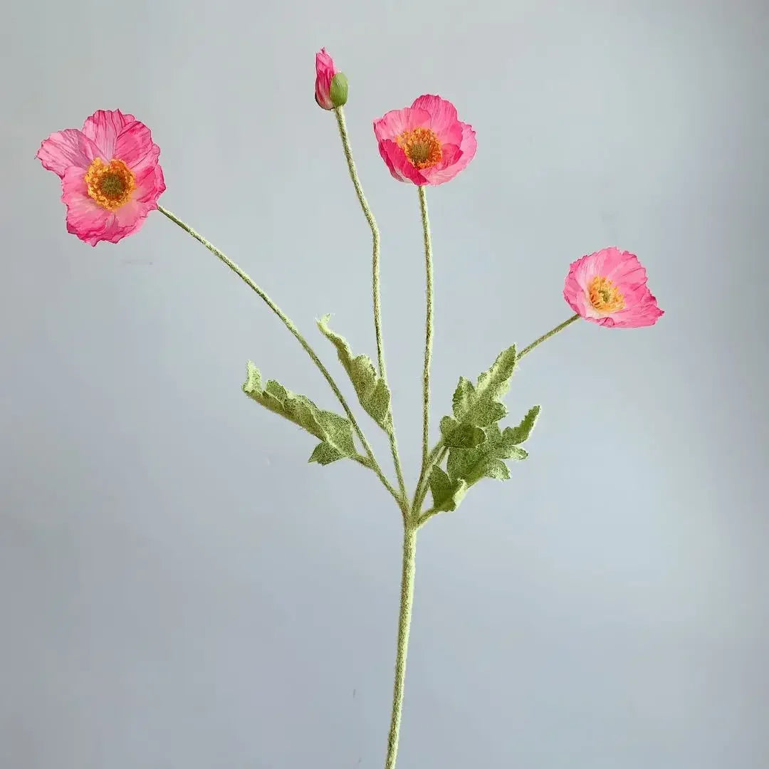 Poppy Stems