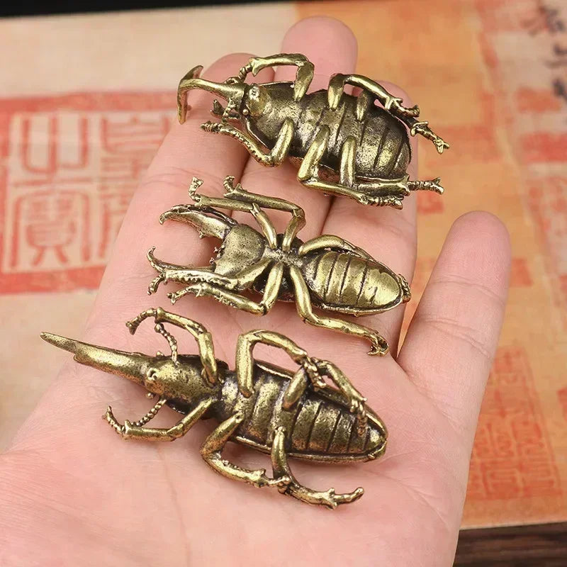 Solid Brass Beetle