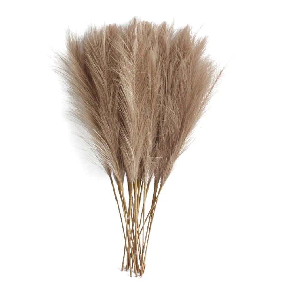 Pampas Grass Stems