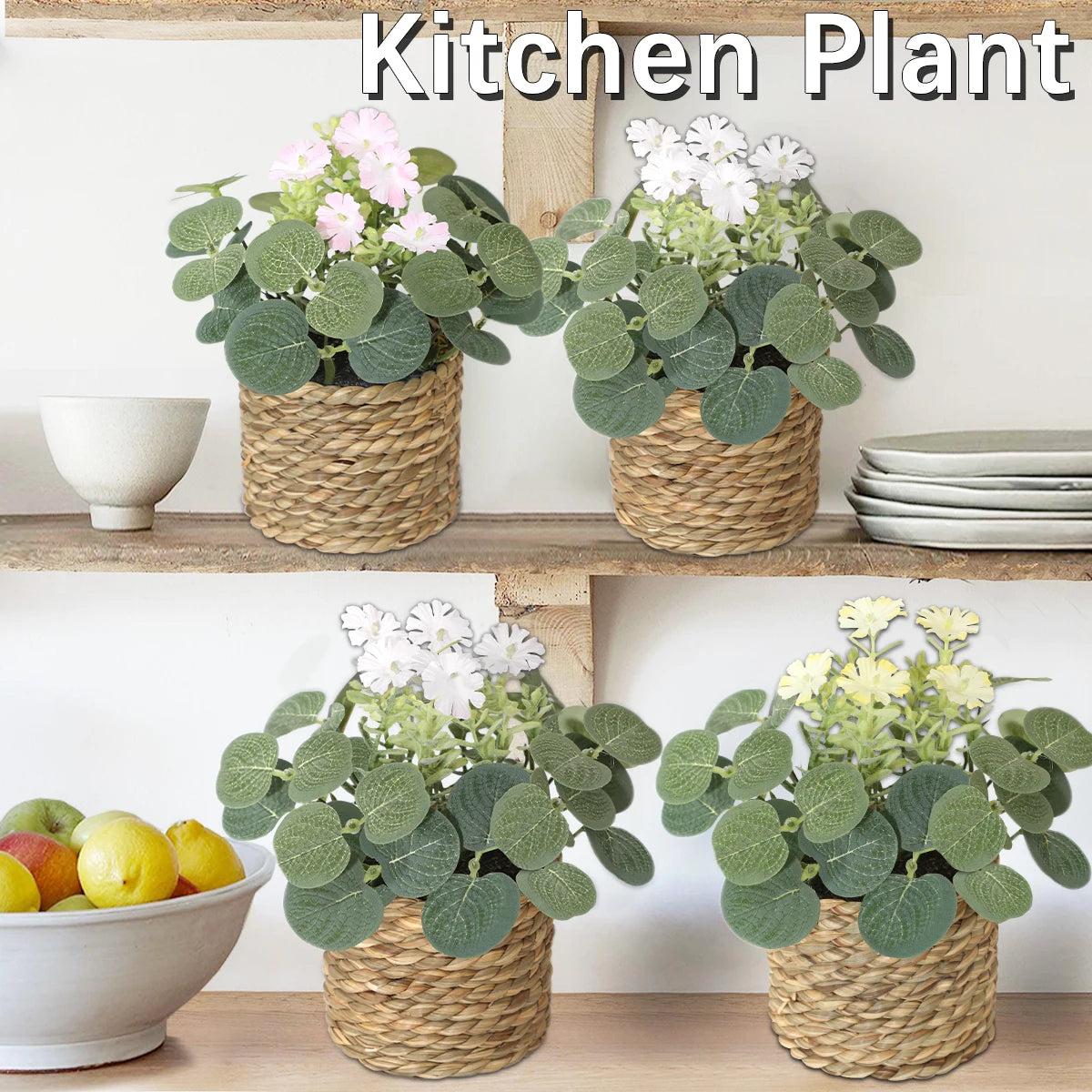 Eucalyptus Xiya Flower