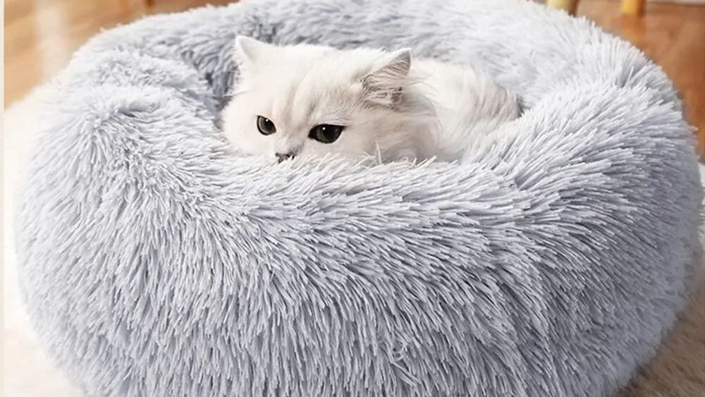 Pet Bed