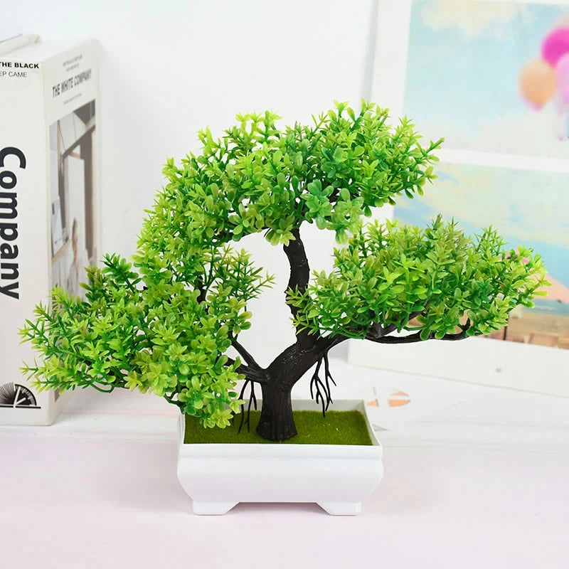 Mini Bonsai