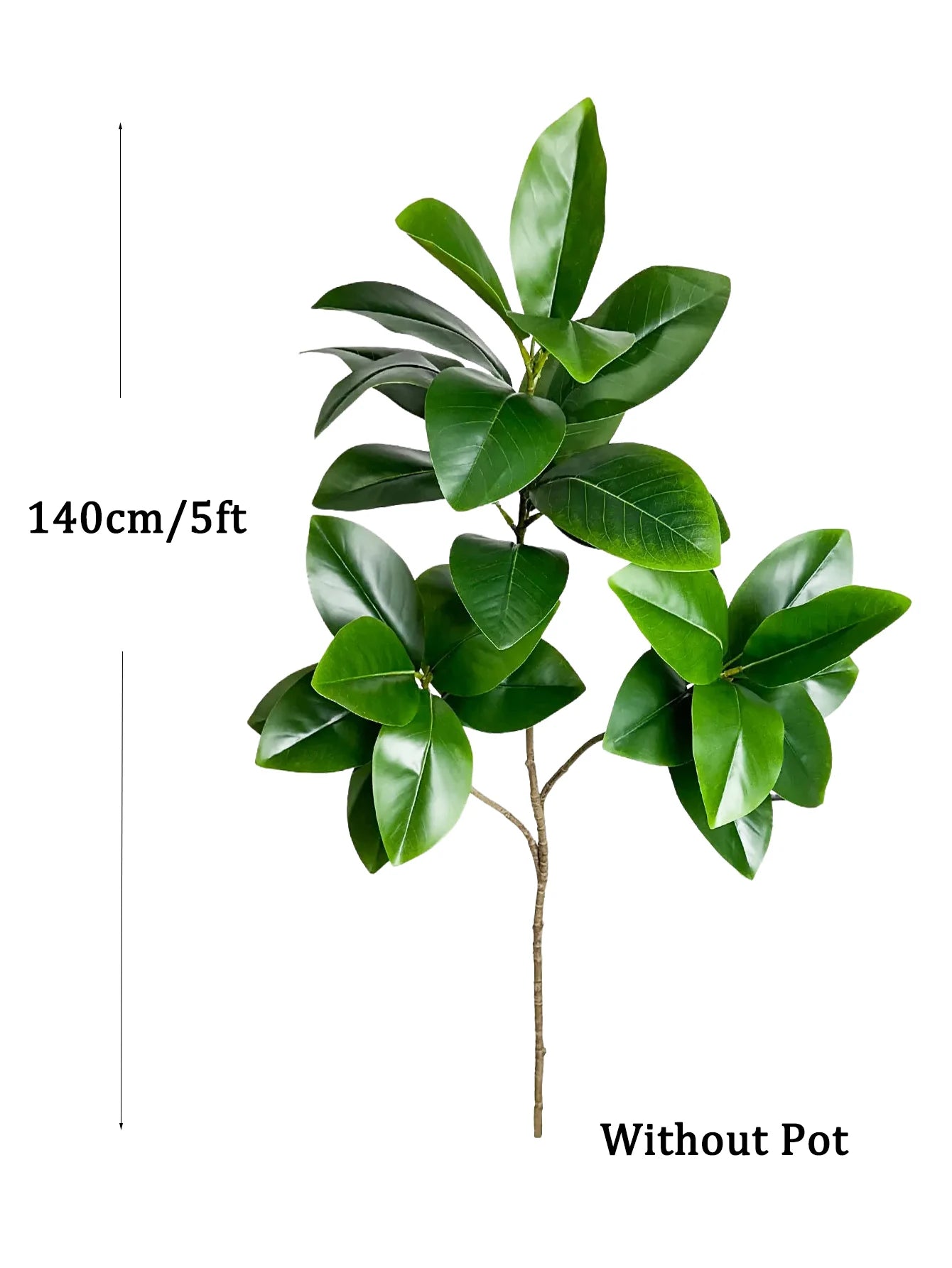 Ficus Tree Fake